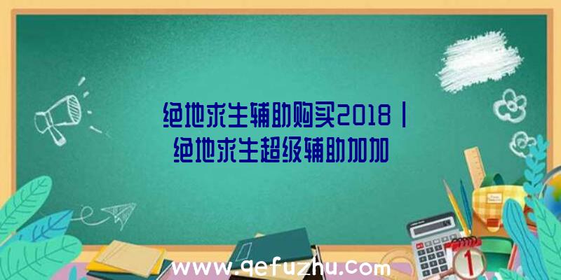 「绝地求生辅助购买2018」|绝地求生超级辅助加加